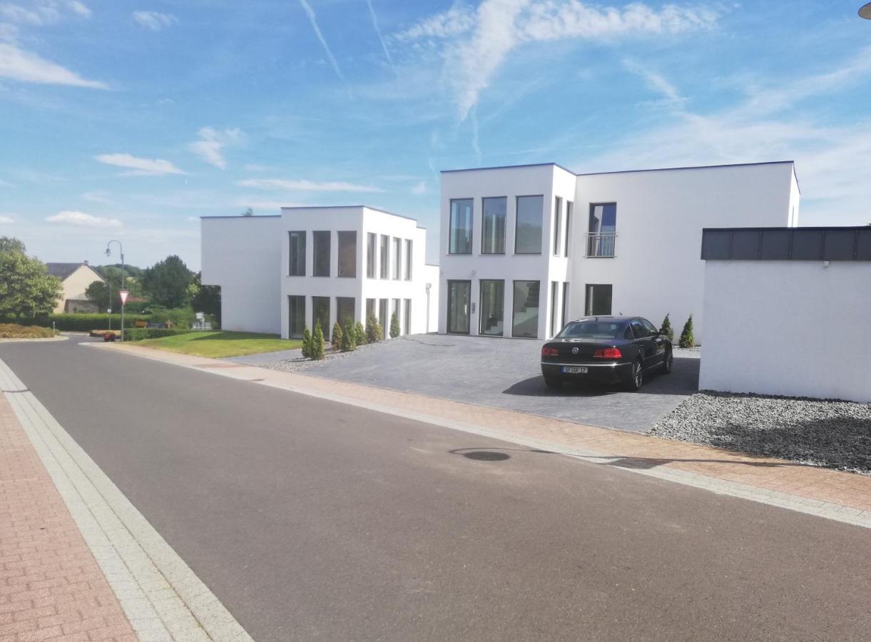 Eifel24, Neues Und Barrierefreies Appartement Mit Terrasse Schwirzheim Ngoại thất bức ảnh